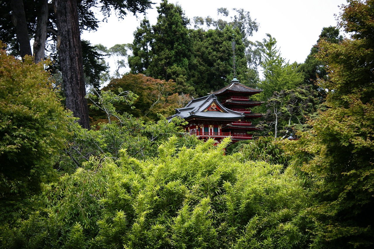 某县美丽乡村建设纪实，绿色家园共筑行动