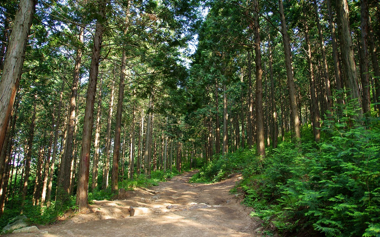 略阳县乡村建设新动态