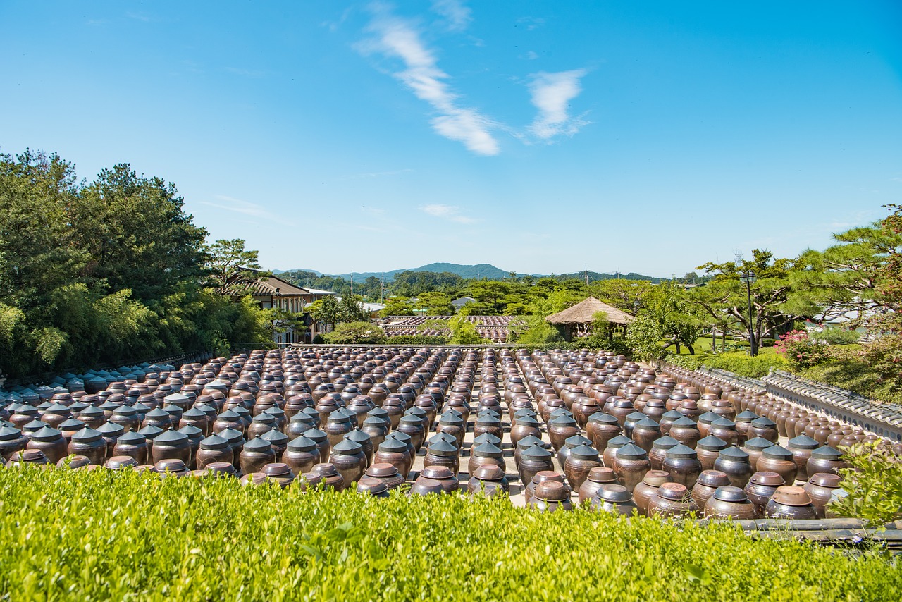 乡村新颜，中国农村发展的春天探索