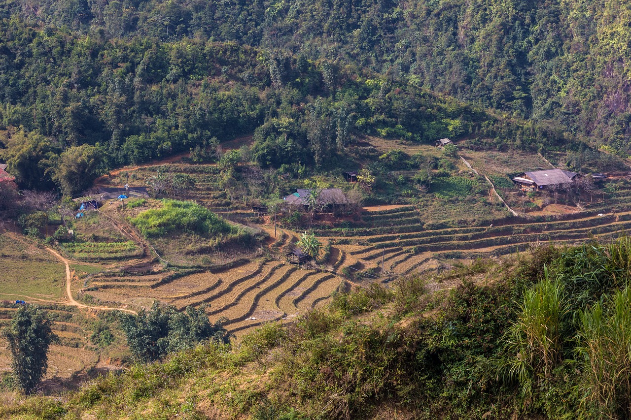 邹城乡村，绘就田园风光的绚丽画卷