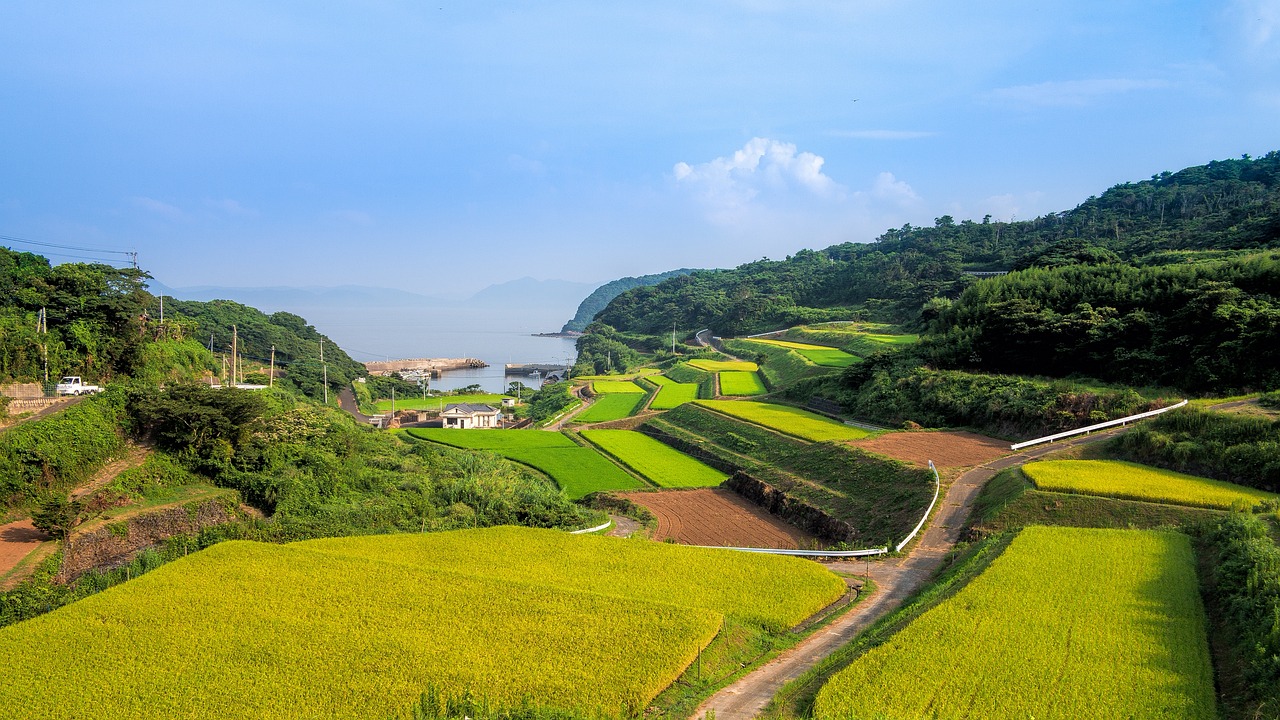 乡村振兴战略，激活农村经济，共筑繁荣图景