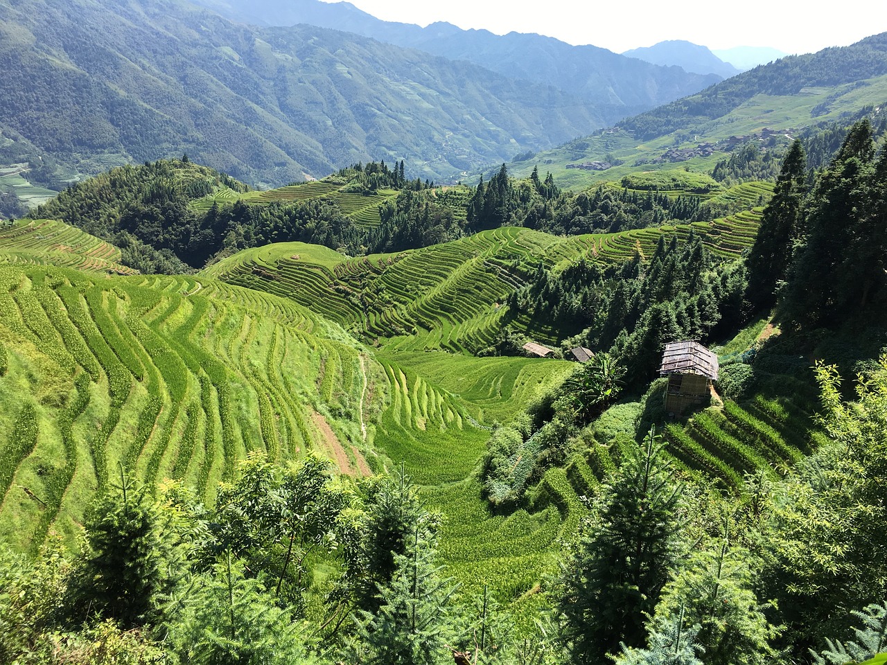 美丽乡村典范，绿色发展与文化传承的融合之旅