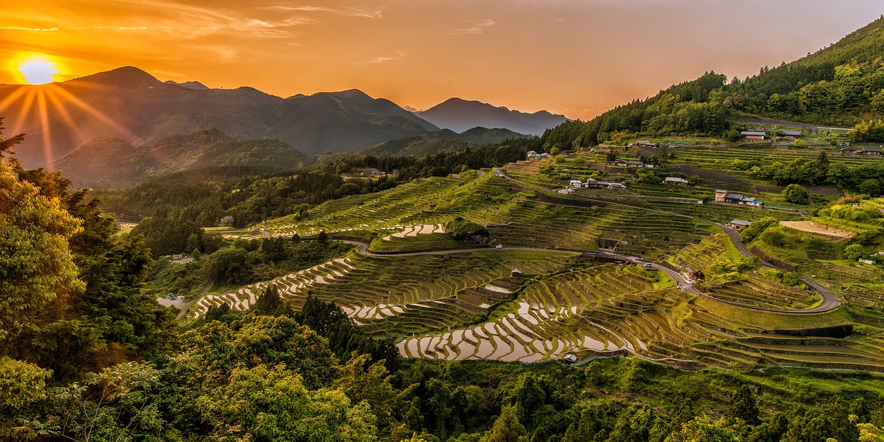 乡村振兴专项检查，深入基层，全面推进