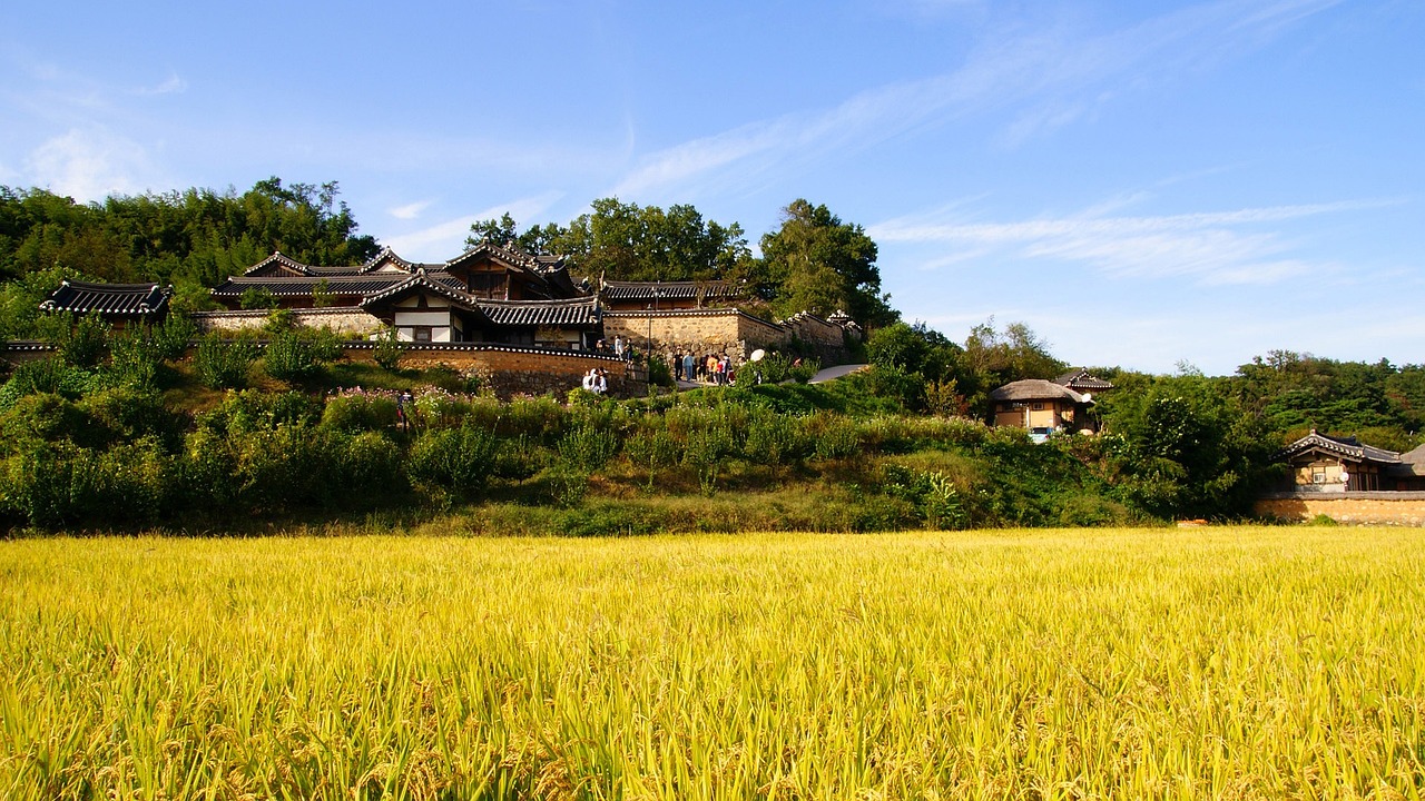 乡村致富新路径，挖掘农村潜力的赚钱项目