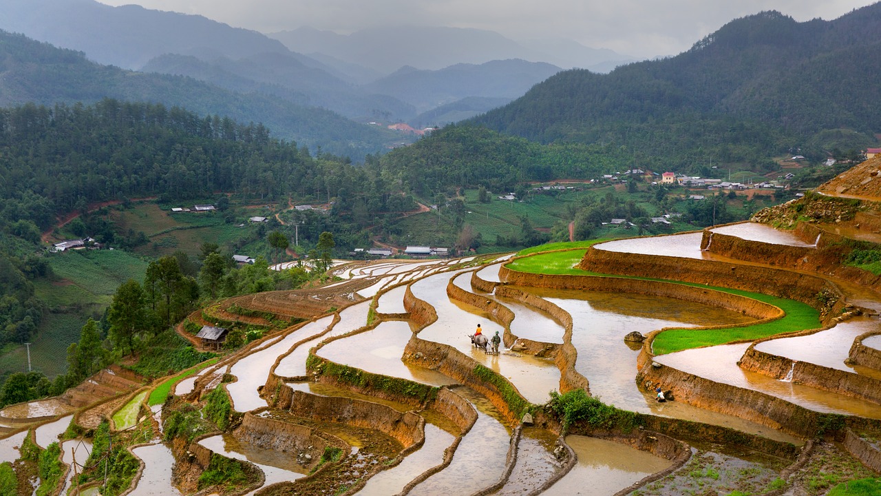 乡村旅行，开启致富新篇章