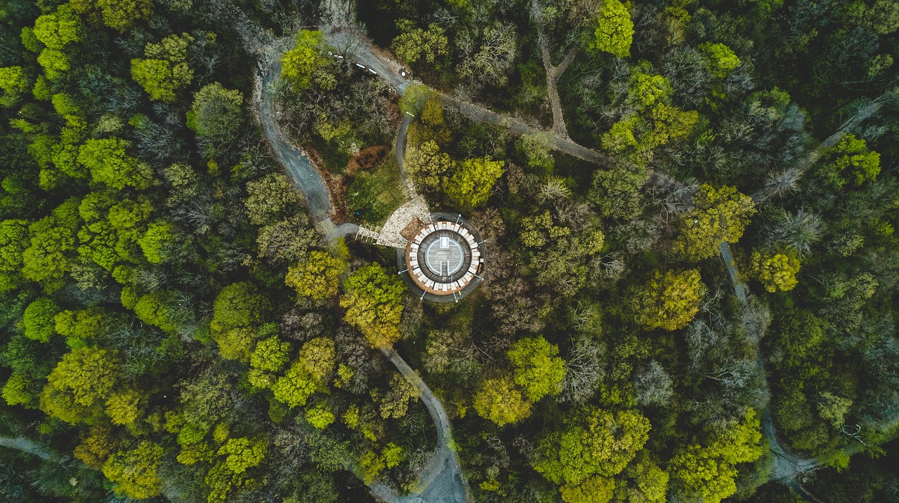 海宁乡村，绘就乡村振兴的绚丽图景