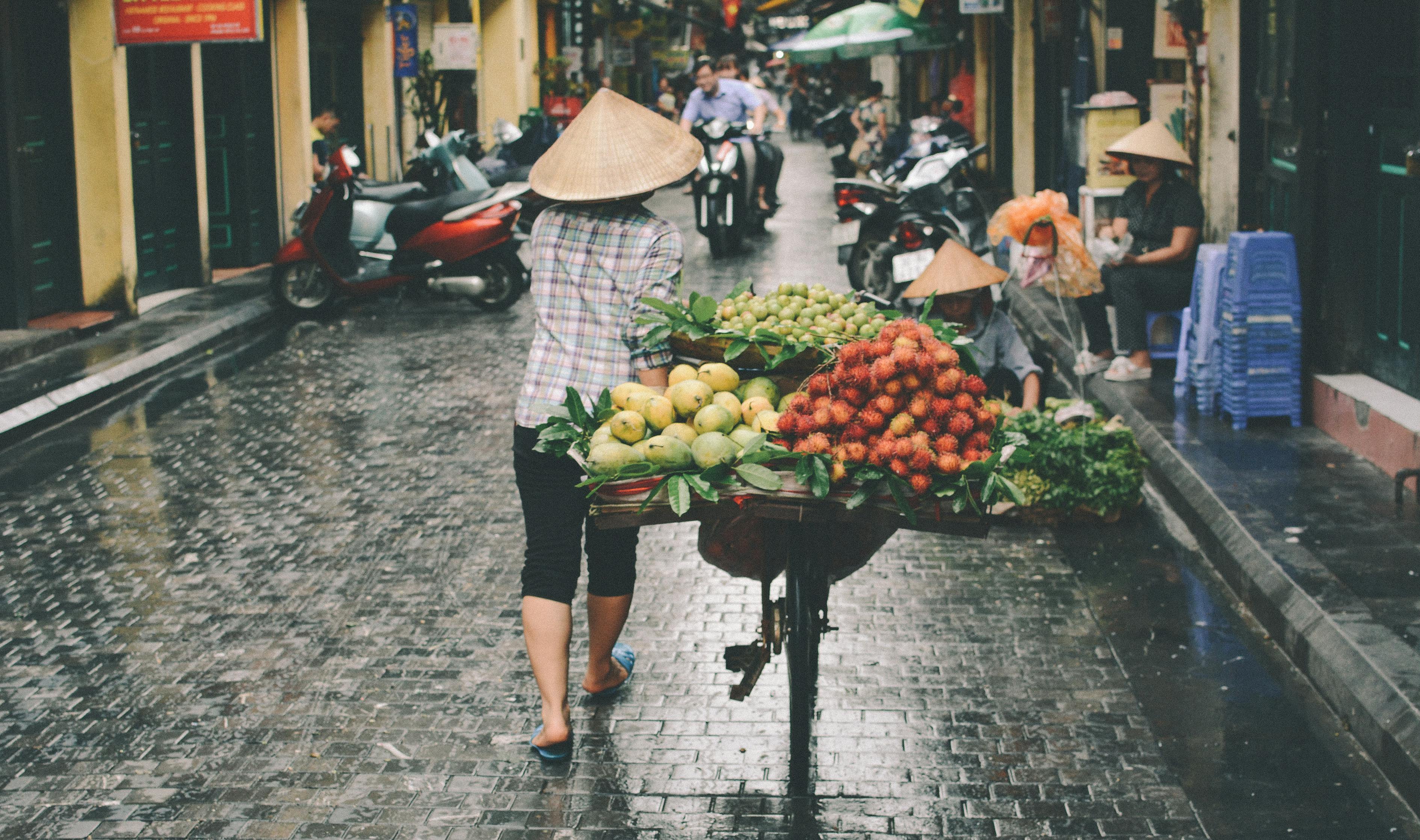 揭秘土地与水果种植，实践之旅