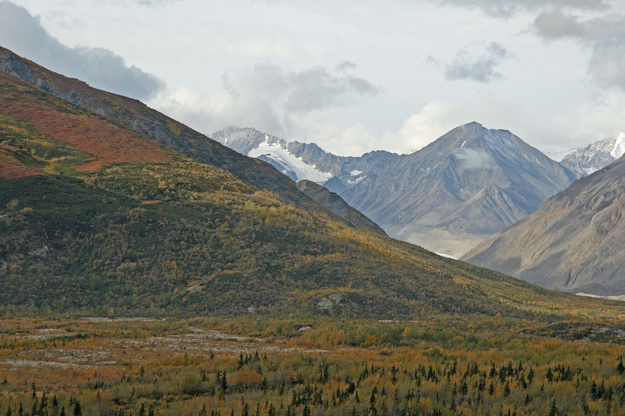 绘就乡村新景 共圆振兴梦