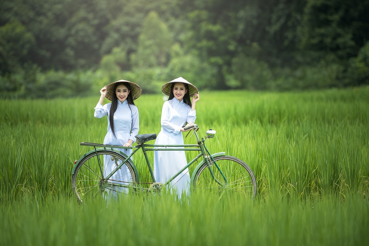 传统乡村的现代转型，美丽乡村的华丽蜕变之旅