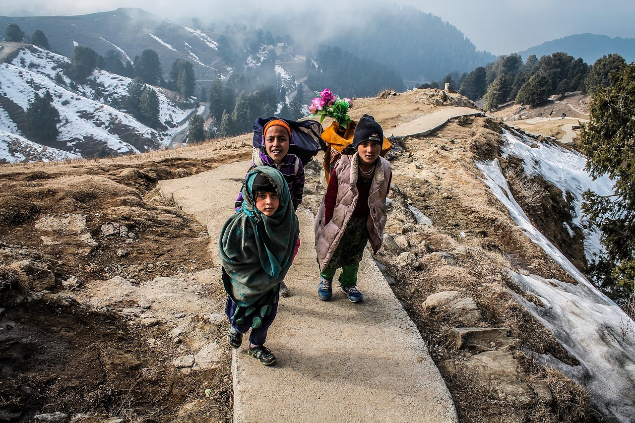 乡村喜剧，致富路上的欢乐旅程