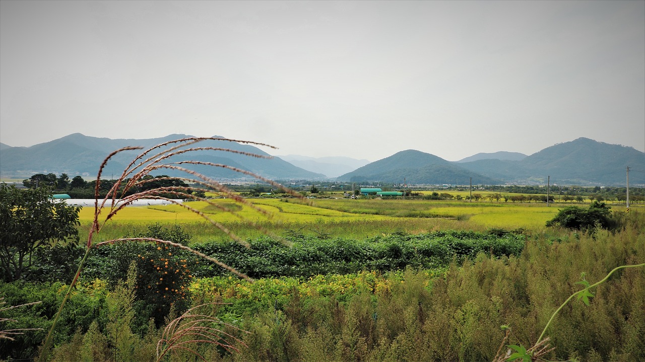 五美愿景下的乡村建设，打造美丽乡村