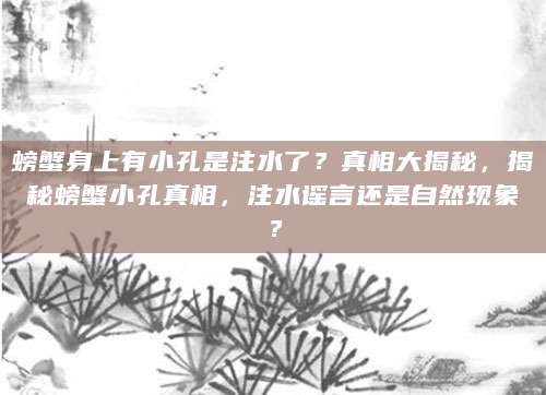 螃蟹身上有小孔是注水了？真相大揭秘，揭秘螃蟹小孔真相，注水谣言还是自然现象？