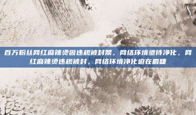 百万粉丝网红麻辣烫因违规被封禁，网络环境亟待净化，网红麻辣烫违规被封，网络环境净化迫在眉睫