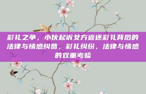 彩礼之争，小伙起诉女方返还彩礼背后的法律与情感纠葛，彩礼纠纷，法律与情感的双重考验