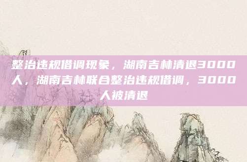 整治违规借调现象，湖南吉林清退3000人，湖南吉林联合整治违规借调，3000人被清退