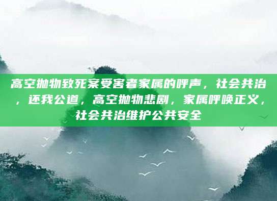 高空抛物致死案受害者家属的呼声，社会共治，还我公道，高空抛物悲剧，家属呼唤正义，社会共治维护公共安全