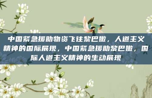 中国紧急援助物资飞往黎巴嫩，人道主义精神的国际展现，中国紧急援助黎巴嫩，国际人道主义精神的生动展现