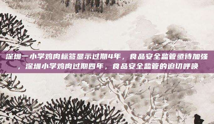 深圳一小学鸡肉标签显示过期4年，食品安全监管亟待加强，深圳小学鸡肉过期四年，食品安全监管的迫切呼唤