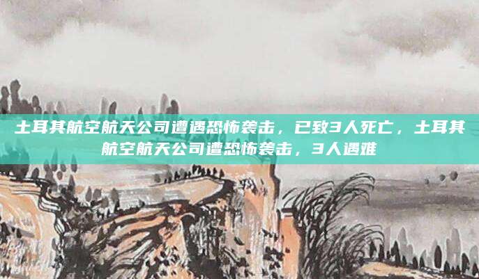 土耳其航空航天公司遭遇恐怖袭击，已致3人死亡，土耳其航空航天公司遭恐怖袭击，3人遇难