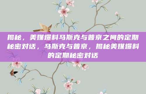 揭秘，美媒爆料马斯克与普京之间的定期秘密对话，马斯克与普京，揭秘美媒爆料的定期秘密对话