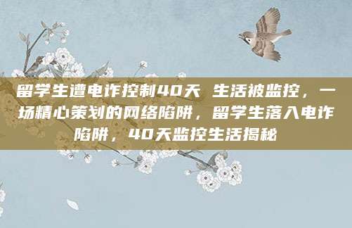 留学生遭电诈控制40天 生活被监控，一场精心策划的网络陷阱，留学生落入电诈陷阱，40天监控生活揭秘