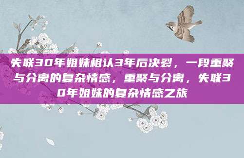 失联30年姐妹相认3年后决裂，一段重聚与分离的复杂情感，重聚与分离，失联30年姐妹的复杂情感之旅