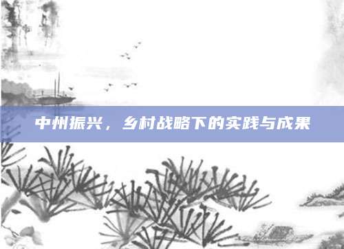 中州振兴，乡村战略下的实践与成果